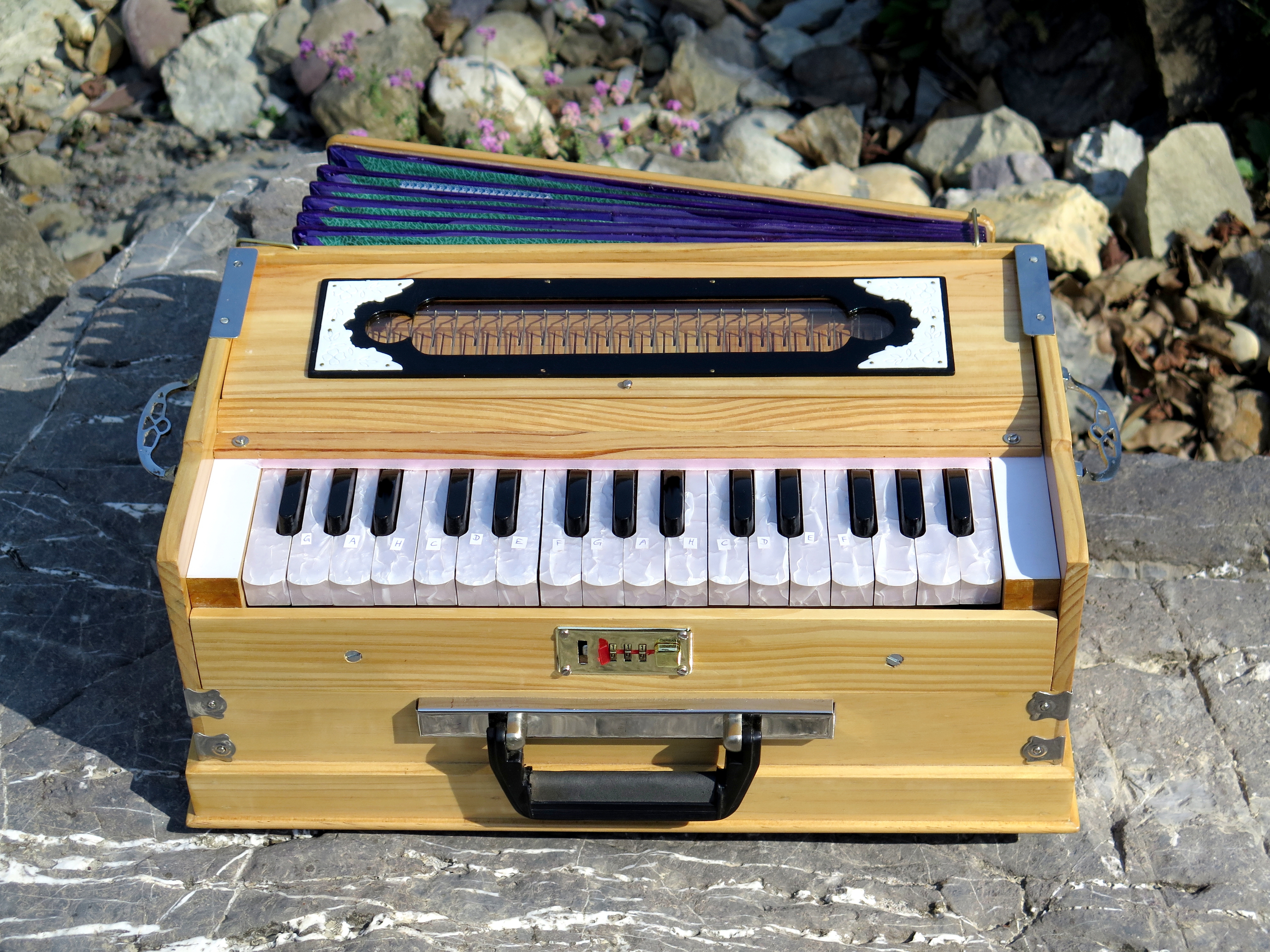 harmonium-shop-gaiatrees